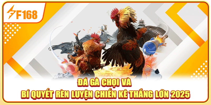 Đá Gà Chọi Và Bí Quyết Rèn Luyện Chiến Kê Thắng Lớn 2025