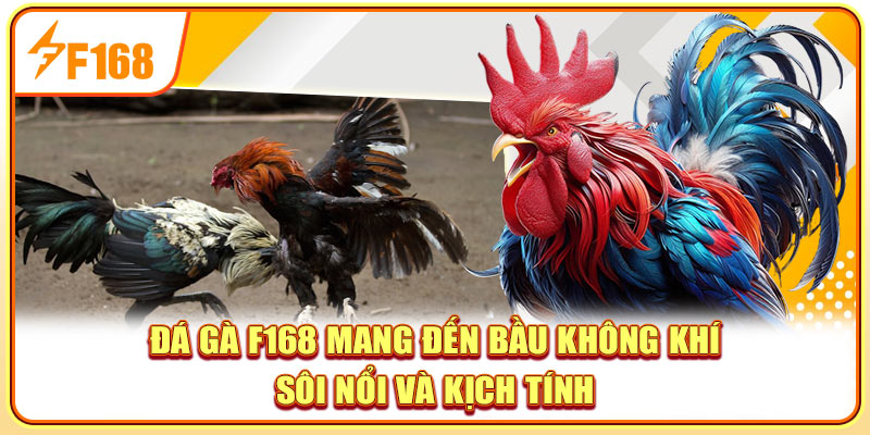 Đá gà F168 mang đến bầu không khí sôi nổi và kịch tính Đá gà F168 mang đến bầu không khí sôi nổi và kịch tính