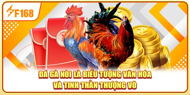 Đá gà nòi là biểu tượng văn hóa và tinh thần thượng võ