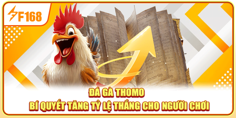 Đá Gà Thomo - Bí Quyết Tăng Tỷ Lệ Thắng Cho Người Chơi