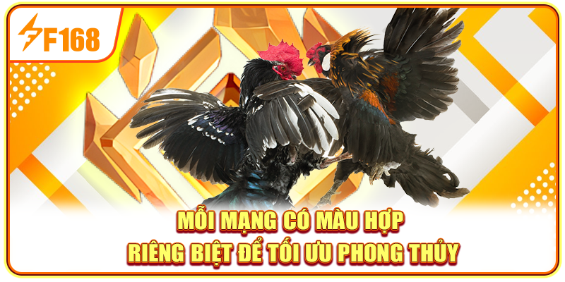 Mỗi mạng có màu hợp riêng biệt để tối ưu phong thủy