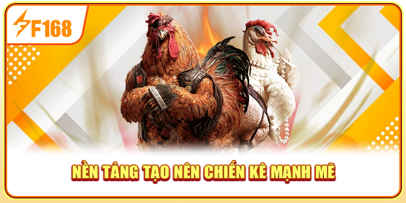 Nền tảng tạo nên chiến kê mạnh mẽ